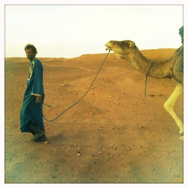 Guide leading a camel through the desert